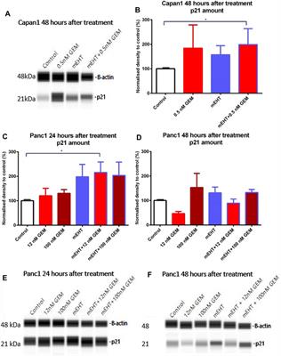 Modulated Electro-Hyperthermia Supports the Effect of Gemcitabine Both in Sensitive and Resistant Pancreas Adenocarcinoma Cell Lines